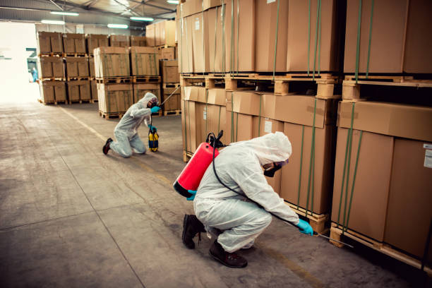 Best Termite Control Services  in Emmaus, PA
