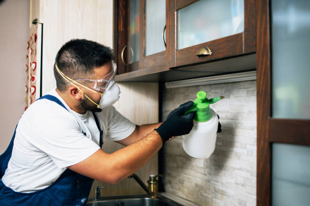 Emmaus, PA Pest Control Company
