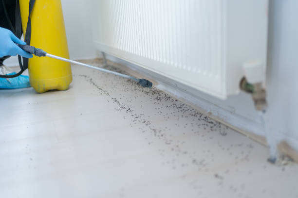 Best Wildlife Control Services  in Emmaus, PA